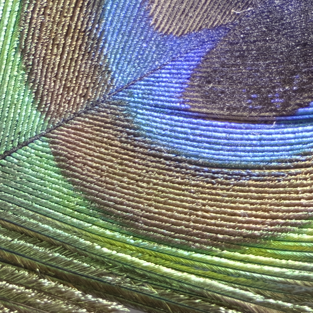 GFX100SII_GF20-35_35mmf/4.0