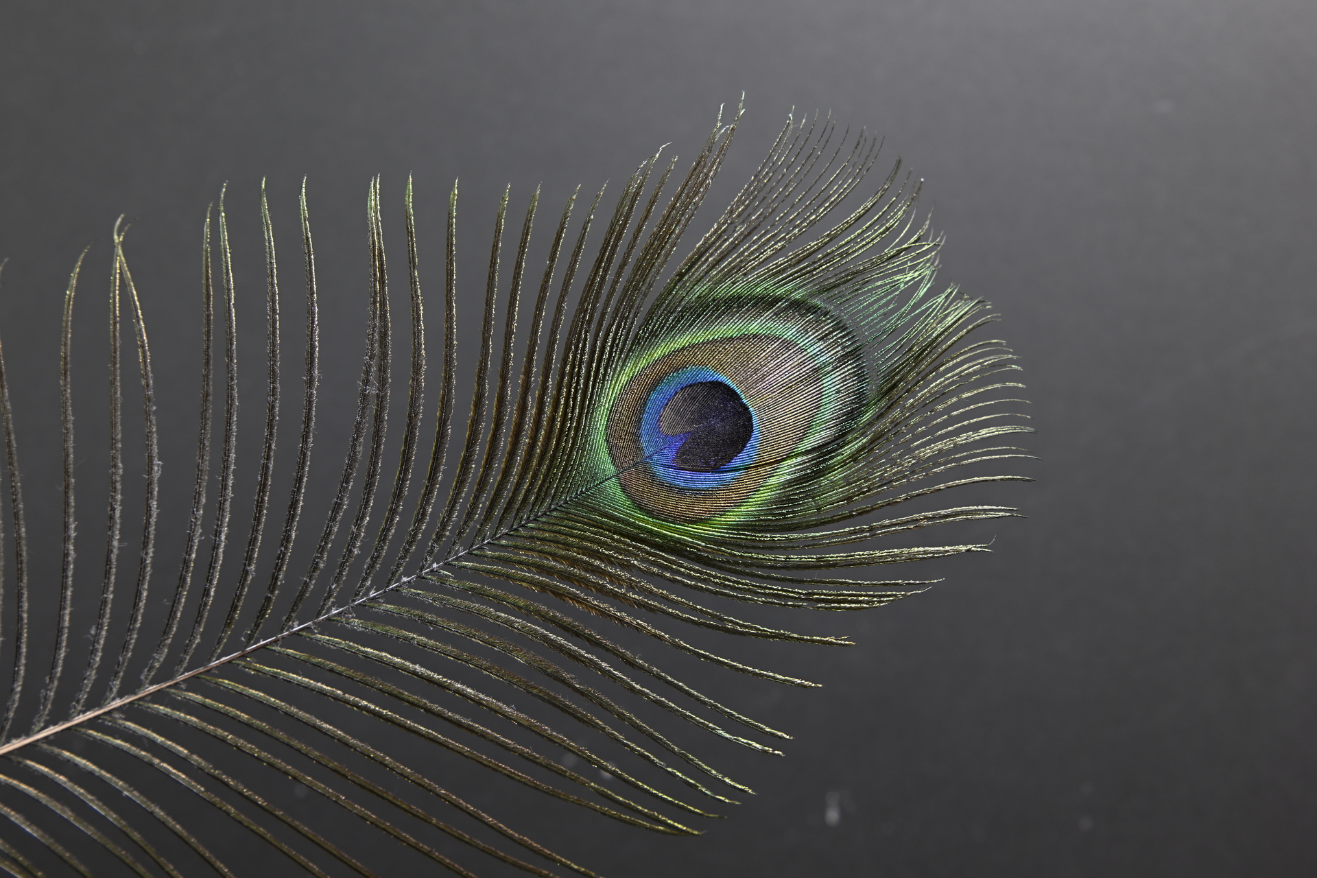 Z9_GF35-70_35mm_f/4.5