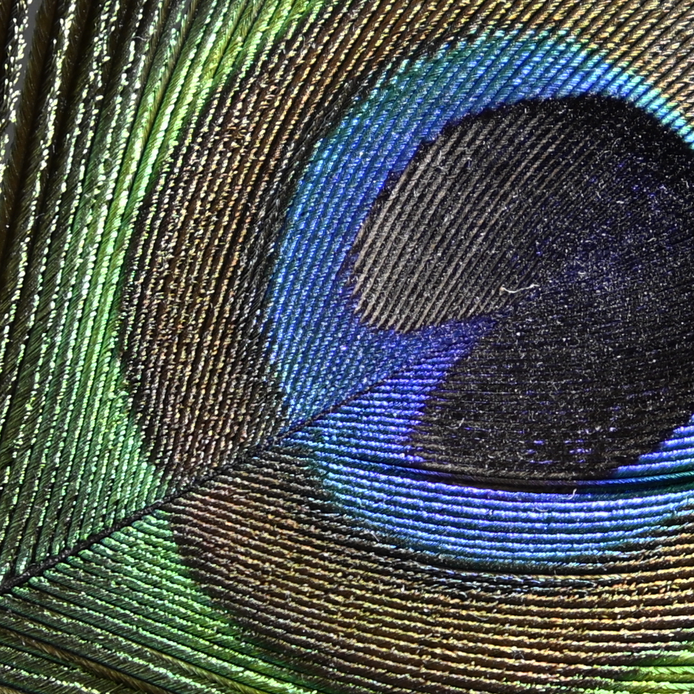 Z9_GF35-70_35mm_f/4.5