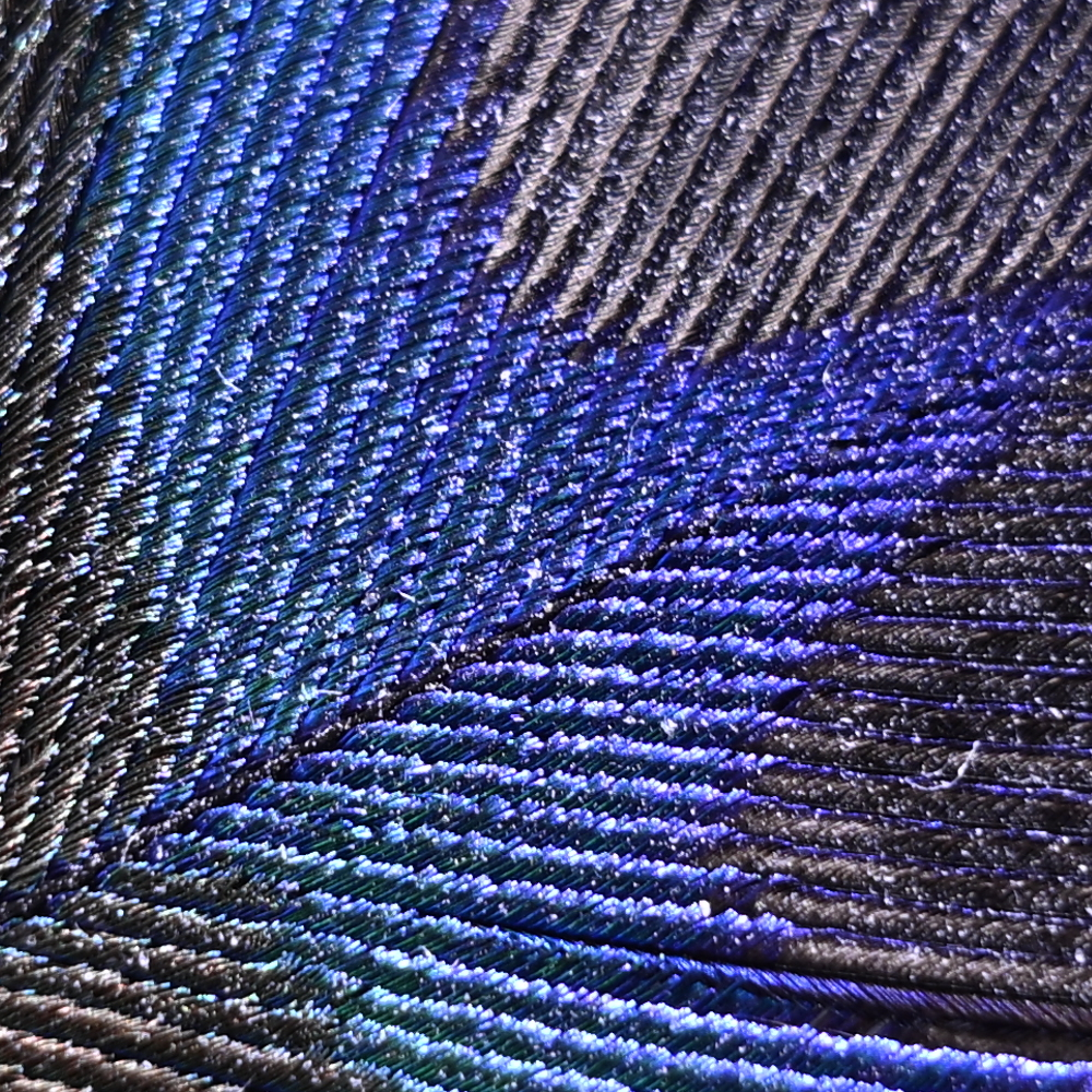 Z9_Z24-120_120mm_f/5.6