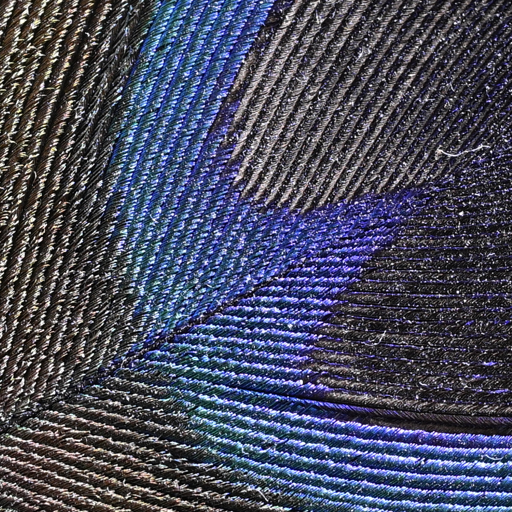 Z9_Z24-120_70mm_f/8.0